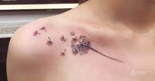 飞舞或掉落的蒲公英唯女生生纹身图案图片欣赏 第2张