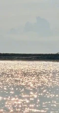 女生鞠婧祎一袭白裙装扮海边沙滩游玩写真照片