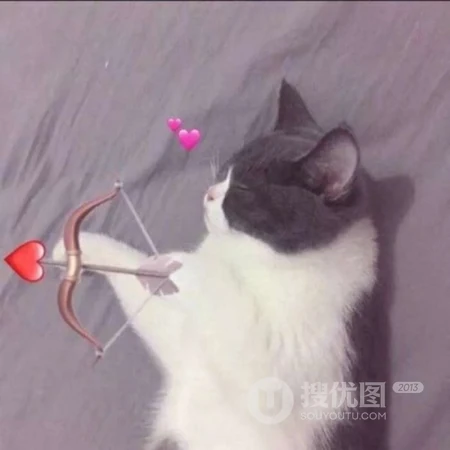 情侣专用的个性好看一男一女卡通、动物、孩童、宠物等头像