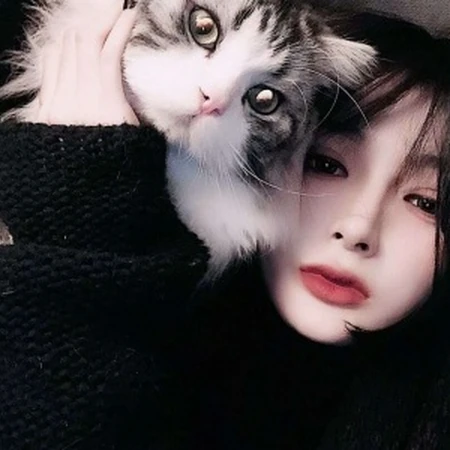 抱在手里的可爱猫咪图片，精致女生抱着宠物猫图片欣赏