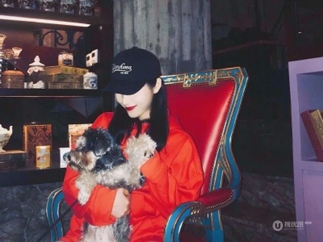 抱在手里的可爱猫咪图片，精致女生抱着宠物猫图片欣赏 第5张