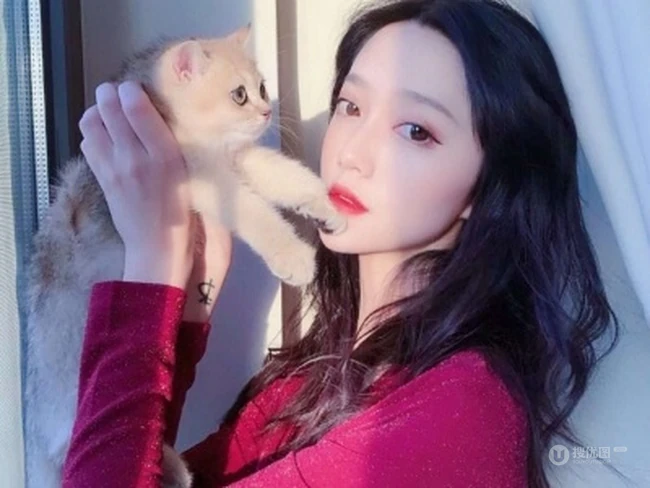 抱在手里的可爱猫咪图片，精致女生抱着宠物猫图片欣赏 第7张