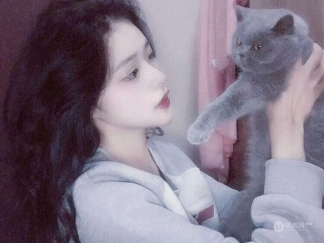 抱在手里的可爱猫咪图片，精致女生抱着宠物猫图片欣赏 第2张