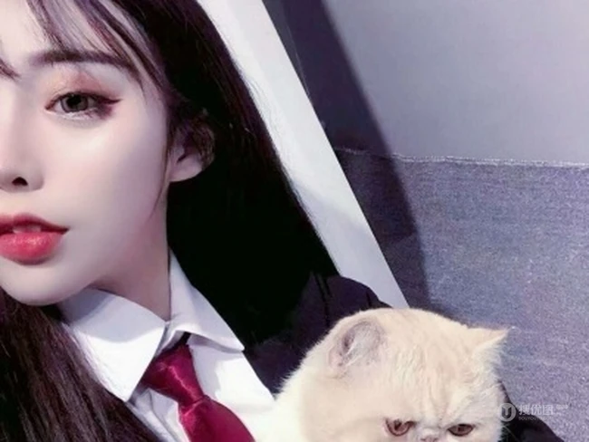 抱在手里的可爱猫咪图片，精致女生抱着宠物猫图片欣赏 第11张