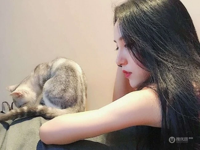 抱在手里的可爱猫咪图片，精致女生抱着宠物猫图片欣赏 第6张