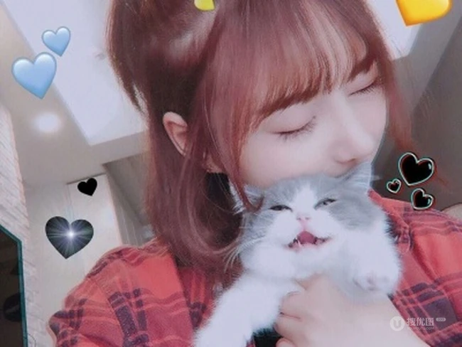 抱在手里的可爱猫咪图片，精致女生抱着宠物猫图片欣赏 第8张