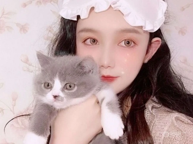 抱在手里的可爱猫咪图片，精致女生抱着宠物猫图片欣赏 第10张