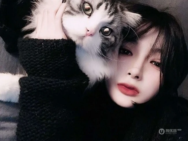 抱在手里的可爱猫咪图片，精致女生抱着宠物猫图片欣赏 第1张