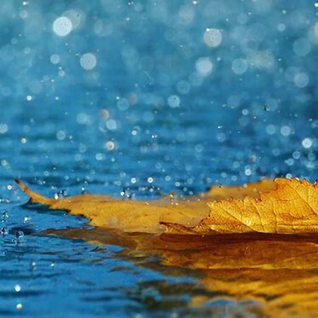 盛夏的雨 猝不及防，下雨中或下雨后唯美意境图片