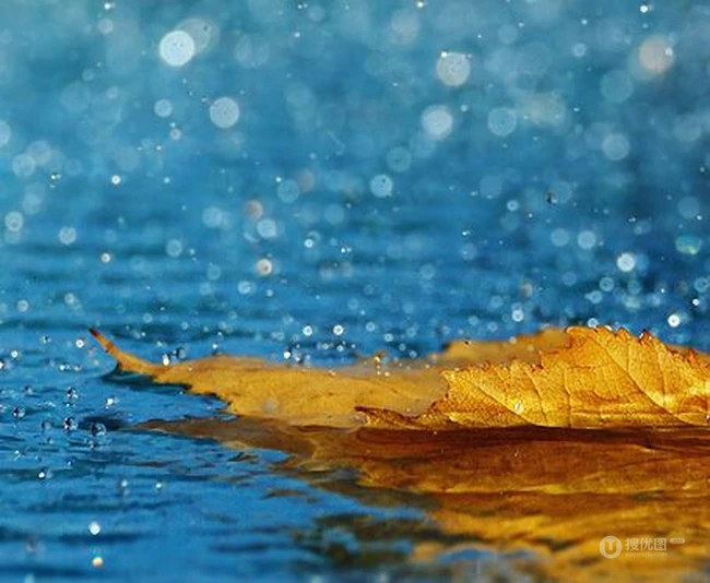 盛夏的雨 猝不及防，下雨中或下雨后唯美意境图片