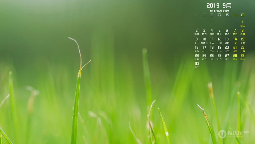 2019年9月清新唯美的花草树木等日历桌面壁纸图片