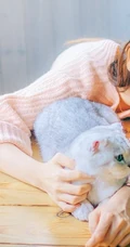清纯毛衣少女婷婷唯美居家休闲写真