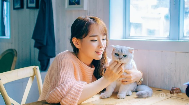 清纯毛衣少女婷婷唯美居家休闲写真