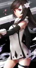 神秘的动漫女剑客高清图片集锦