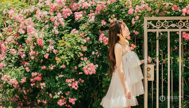 大眼美萌清新蔷薇花少女温暖春意户外写真