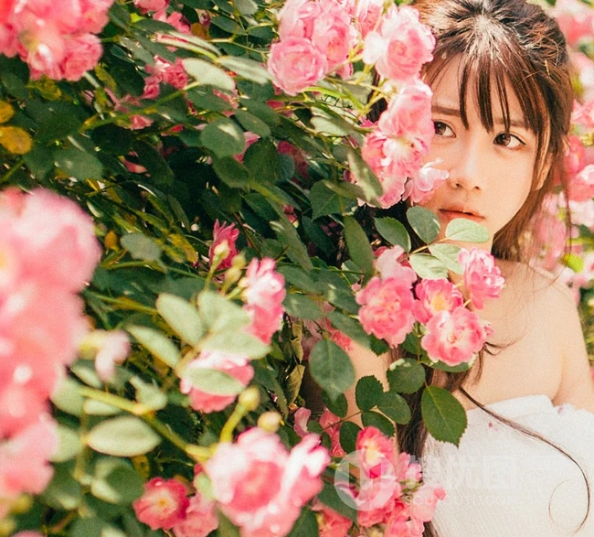 大眼美萌清新蔷薇花少女温暖春意户外写真