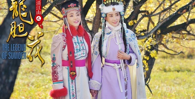 严宽、杜若溪夫妻档电视剧《龙胆花》人物关系剧照图片