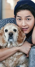 帅哥宋仲基居家写真大片，怀抱狗狗暖男有爱