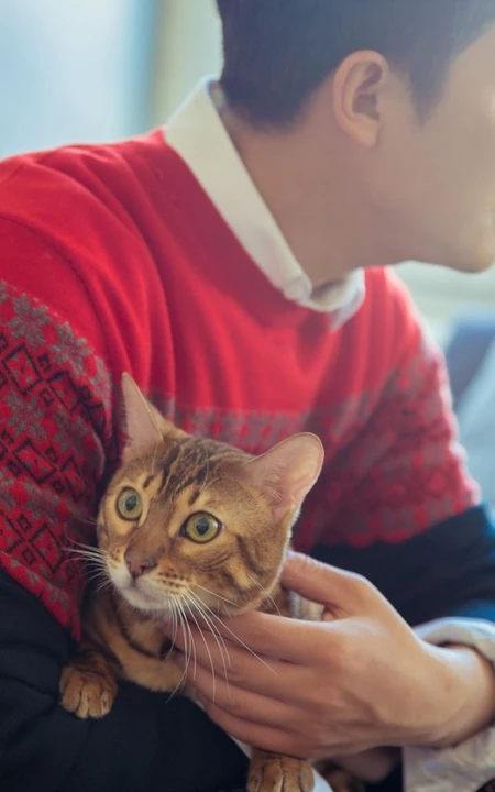 气质暖男黄轩写真大片，怀抱猫咪暖意十足