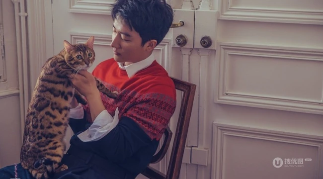 气质暖男黄轩写真大片，怀抱猫咪暖意十足
