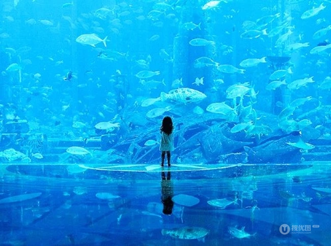 一个人的海阔天空，唯美二次元手绘插画背景图片