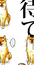 可爱的呆萌柴犬动漫图片