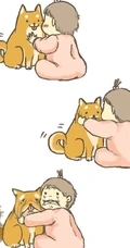 可爱的呆萌柴犬动漫图片