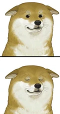 可爱的呆萌柴犬动漫图片