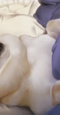 可爱的呆萌柴犬动漫图片