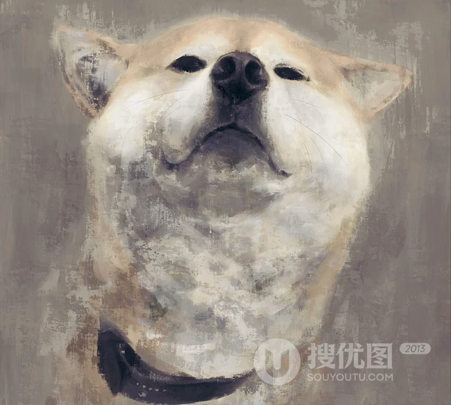 可爱的呆萌柴犬动漫图片