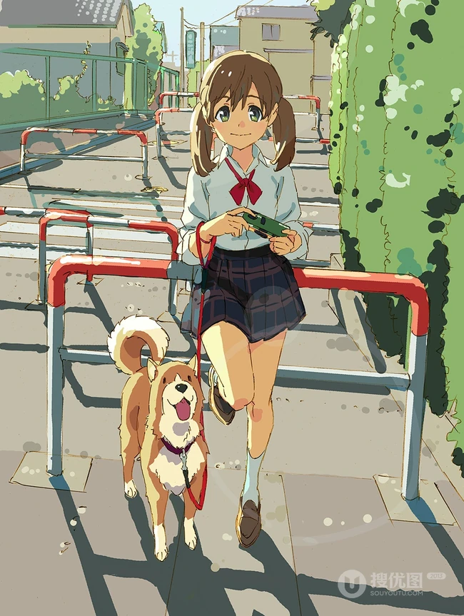 可爱的呆萌柴犬动漫图片