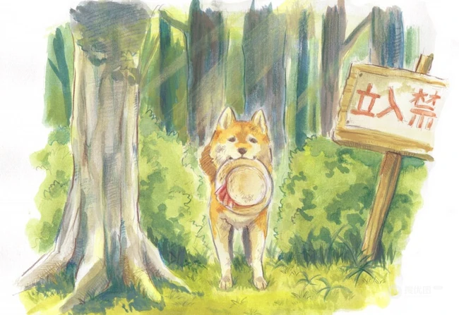 可爱的呆萌柴犬动漫图片