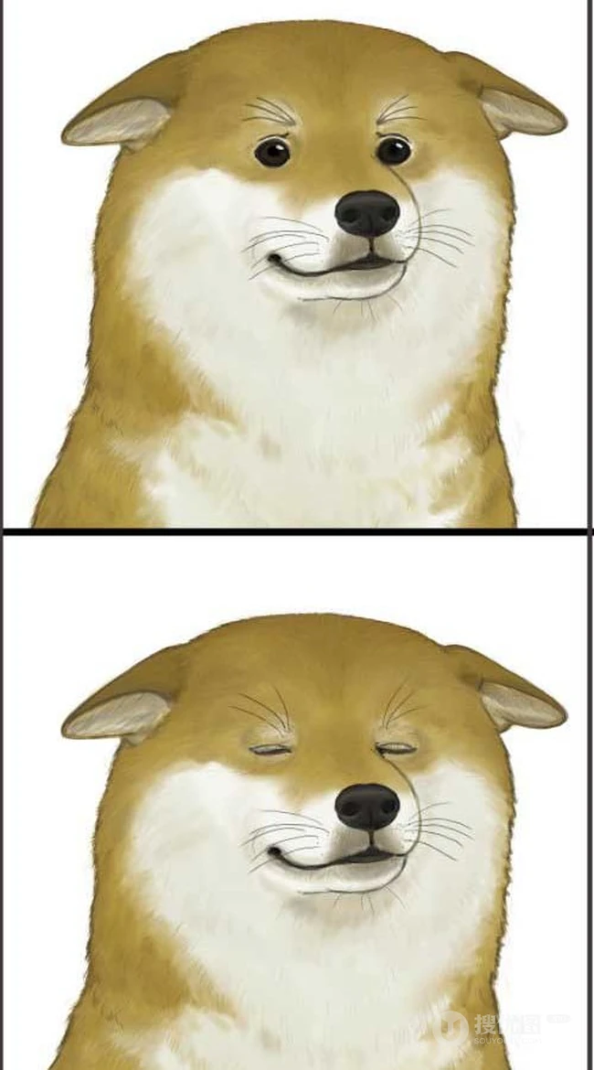 可爱的呆萌柴犬动漫图片