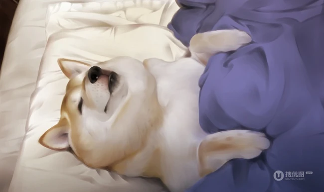 可爱的呆萌柴犬动漫图片