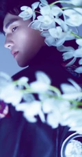 杨洋时尚杂志写真大片，置身花海展魅力型男动人气质