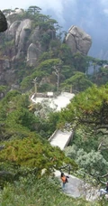 黄山最美唯青松，一组唯美青松图片分享