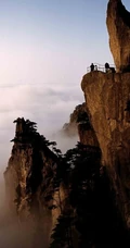 黄山最美唯青松，一组唯美青松图片分享