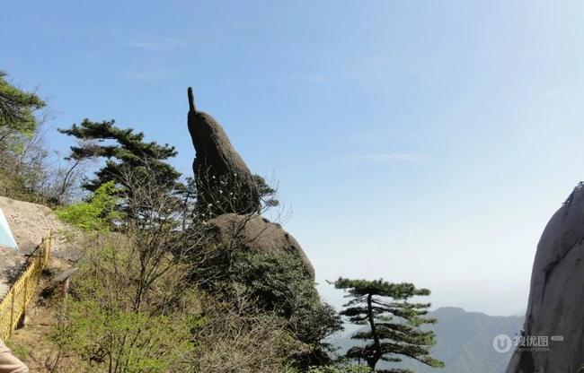 黄山最美唯青松，一组唯美青松图片分享