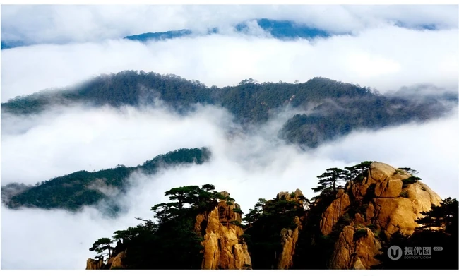 黄山最美唯青松，一组唯美青松图片分享