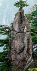 黄山最美唯青松，一组唯美青松图片分享