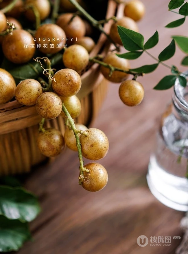 黄皮水果图片，其貌不杨的黄皮也可以很美 第1张