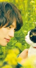 日本帅哥福士苍汰日常逗猫生活照片