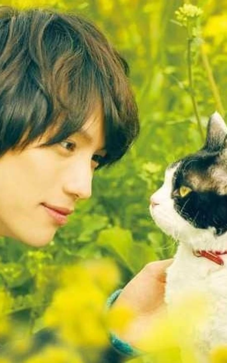 日本帅哥福士苍汰日常逗猫生活照片