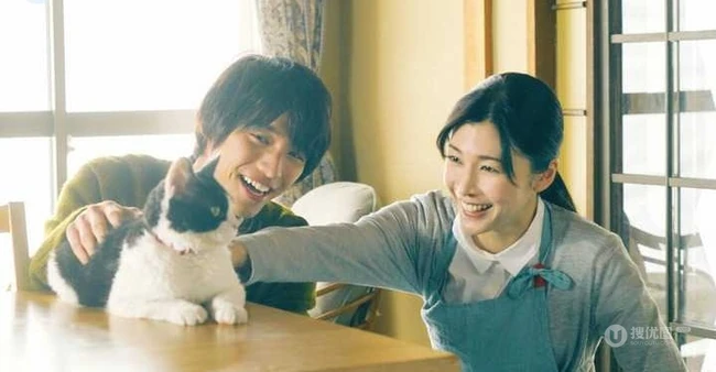 日本帅哥福士苍汰日常逗猫生活照片