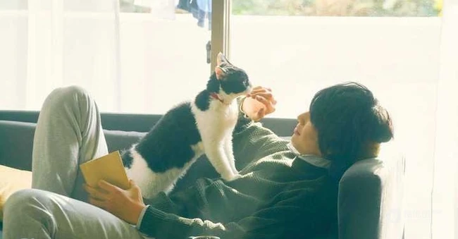 日本帅哥福士苍汰日常逗猫生活照片