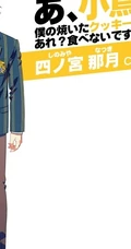 日本动画《歌之王子殿下》中人物四之宫那月图片欣赏