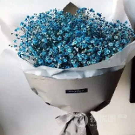 唯美花卉花朵微信头像图集，各种美丽的花清新自然