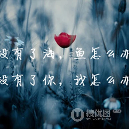 带有各种感情或心情文字的美丽风景微信头像