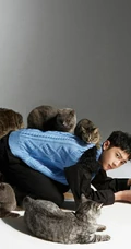 赖冠霖与猫咪亲密互动写真，灰猫白猫满屋子好多猫