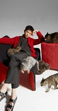 赖冠霖与猫咪亲密互动写真，灰猫白猫满屋子好多猫